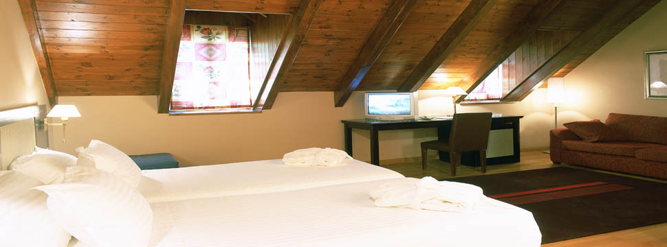 Hotel Acevi Val d'Aran - Vielha - Room Photo